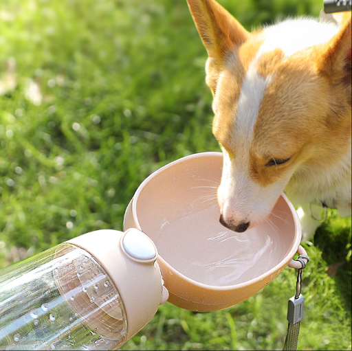 PawGo Travel Bowl™